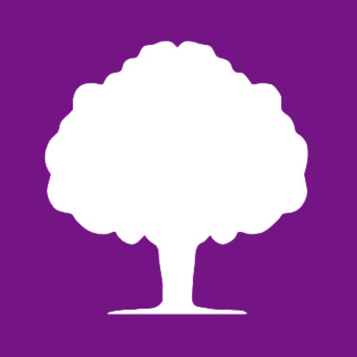 Purple CV Coupons and Promo Code