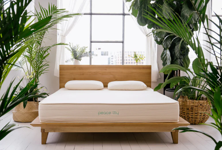 Peace Lily Mattress Review: The Science of Sustainable Sleep