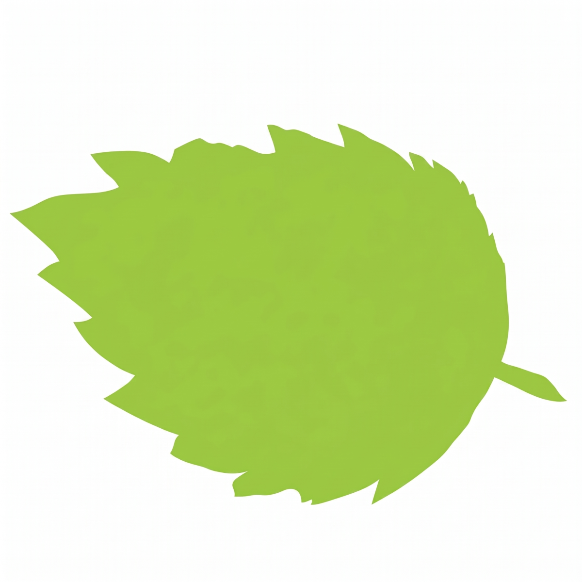 Loose Leaf Tea Coupons and Promo Code